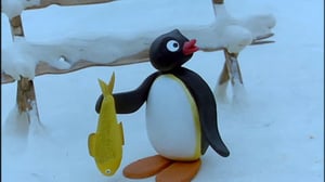 Pingu (S): 01.02.2016 07.07