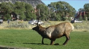 Luontotuokio: 07.11.2015 22.51