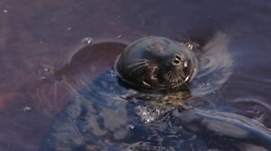 Arka ja Parka - kuuttikaksoset: 04.04.2016 07.05