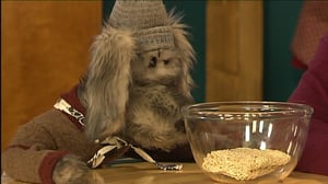 Riku ja Rami: 12.02.2016 18.00