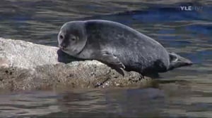 Arka ja Parka - kuuttikaksoset: 18.04.2016 07.04