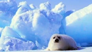 Maapallottelua: 23.01.2016 08.18