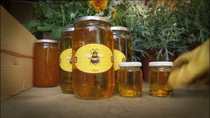 Ruohonjuuritasolla (S): 27.10.2015 18.55