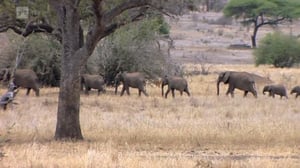 Maapallottelua: 13.02.2016 08.18