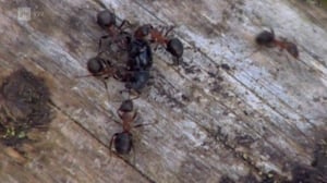 Maapallottelua: 20.02.2016 08.17