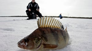 Erätulilla: 08.12.2015 13.30