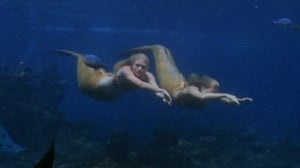 H2O (S): 18.12.2015 09.32