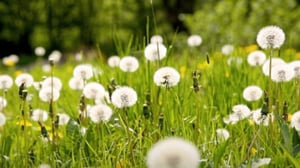 Ruohonjuuritasolla (S): 01.12.2015 18.55