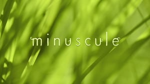 Ruohonjuuritasolla (S): 15.12.2015 18.55