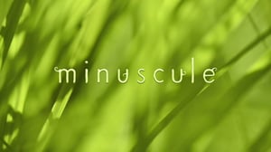 Ruohonjuuritasolla (S): 22.12.2015 18.54