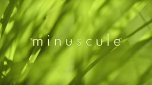 Ruohonjuuritasolla (S): 29.12.2015 18.54