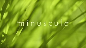 Ruohonjuuritasolla (S): 05.01.2016 18.55