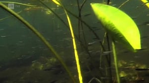 Maapallottelua: 12.03.2016 08.18