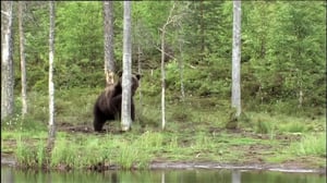 Maapallottelua: 02.04.2016 08.18