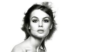 Bailey, muotikuvaaja: 02.12.2015 21.15