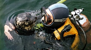 Meri leikkipaikkana: 24.02.2016 10.50