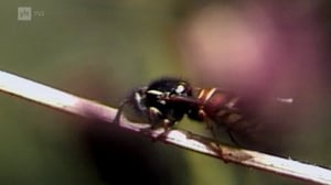 Maapallottelua: 07.01.2016 07.02