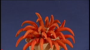 Nimipäiväonnittelu: 9.11.: 09.11.2015 06.51