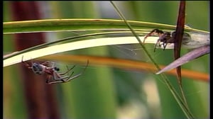 Maapallottelua: 21.01.2016 07.03