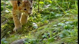 Maapallottelua: 04.02.2016 07.03