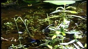 Maapallottelua: 11.02.2016 07.03