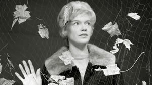 Iskelmä-Suomi: Kaupungin valot: 07.03.2016 18.03