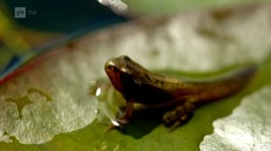 Maapallottelua: 10.03.2016 07.02