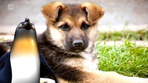 Maapallottelua: 24.03.2016 07.02