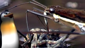 Maapallottelua: 07.04.2016 07.03