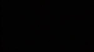 Pingu (S): 01.01.2016 06.58