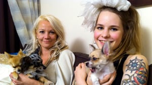 Hullu juttu: 11.11.2015 19.00