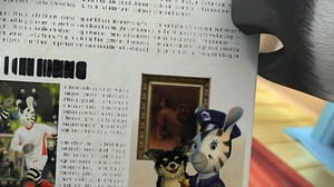 Sasu (S): 29.12.2015 18.00