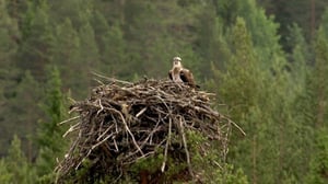 Luontoretkellä: 11.03.2016 12.17