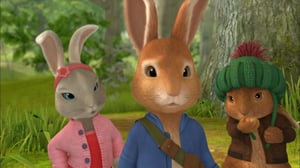 Petteri Kaniini (S): 23.04.2016 08.46