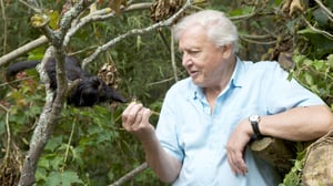 Prisma: Attenborough'n arkki: 21.12.2015 15.55