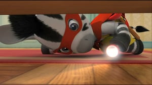 Sasu (S): 23.02.2016 18.00