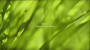 Ruohonjuuritasolla (S): 30.03.2016 18.57