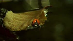 Ruohonjuuritasolla (S): 07.04.2016 18.54