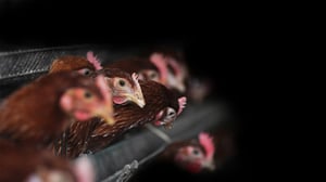 MOT:: 16.03.2016 14.00