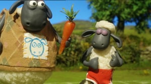 Late Lammas Lampolan kesäkisat (S): 22.11.2015 09.17