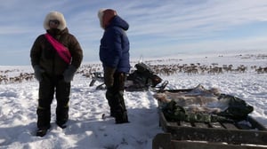 Saamelaisten hiljainen taistelu: 06.02.2016 08.02