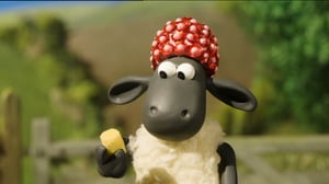 Late Lammas Lampolan kesäkisat (S): 20.12.2015 09.15