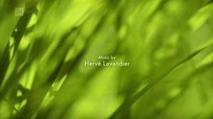 Ruohonjuuritasolla (S): 03.05.2016 18.52