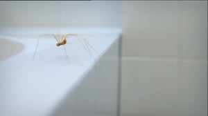 Ruohonjuuritasolla (S): 10.05.2016 18.52