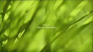 Ruohonjuuritasolla (S): 20.04.2016 18.57