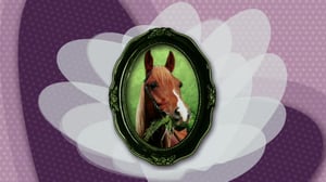 Keppihevostalli (viittomakielelle tulkattuna): 20.02.2016 10.57