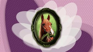 Keppihevostalli (viittomakielelle tulkattuna): 20.02.2016 10.55