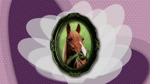 Keppihevostalli (viittomakielelle tulkattuna): 20.02.2016 10.56