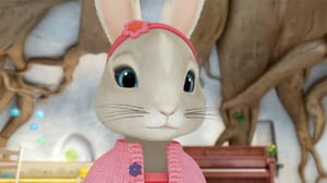 Petteri Kaniini (S): 07.05.2016 08.46