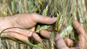 Prisma: Loppuuko fosfori?: 04.11.2015 19.00